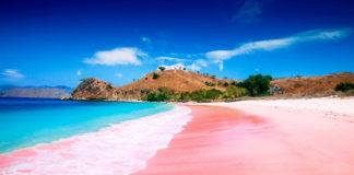 pink-beach-komodo-indonesia