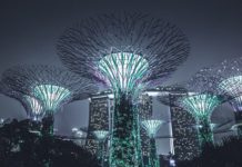 Gardens by the Bay Singapore