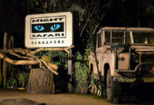 Singapore Zoo Night Safari Tour