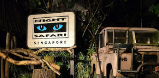 Singapore Zoo Night Safari Tour