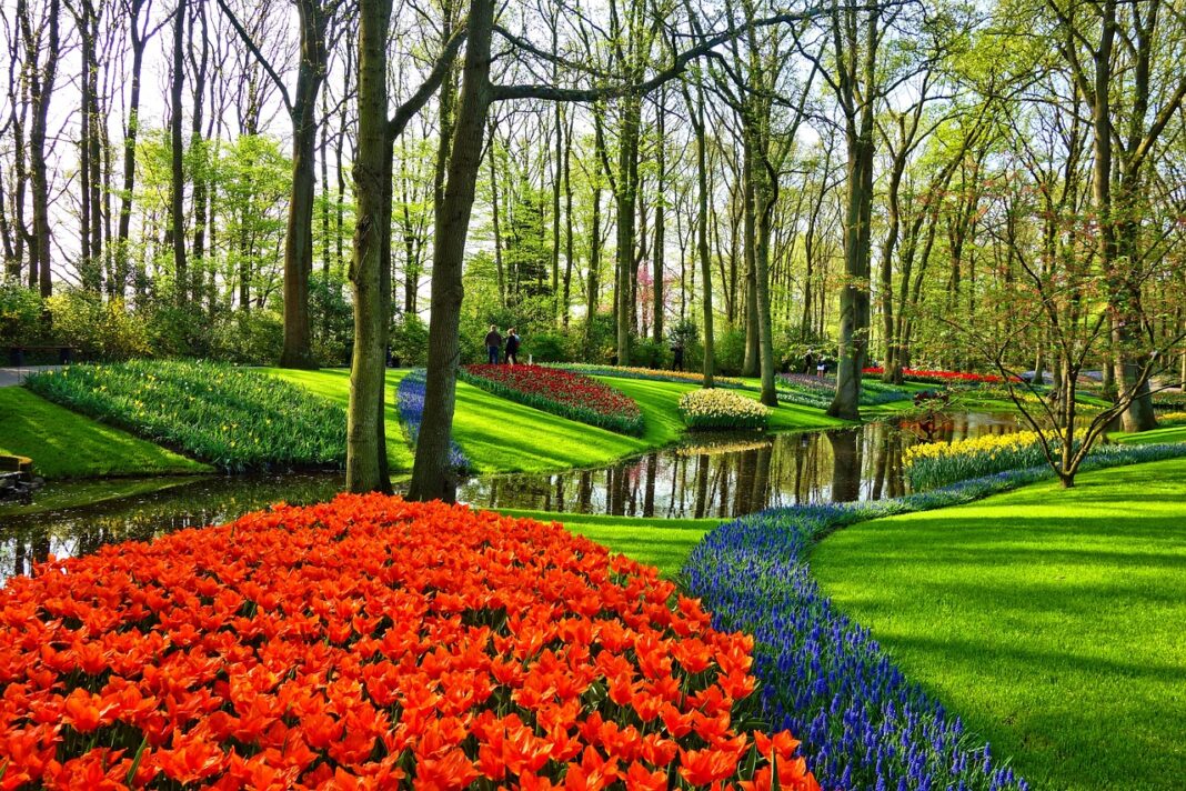Keukenhof-Gardens-mabel-amber Keukenhof Gardens