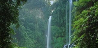 Air-Terjun-Sekumpul-Waterfall-Bali