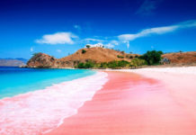 pink-beach-komodo-indonesia
