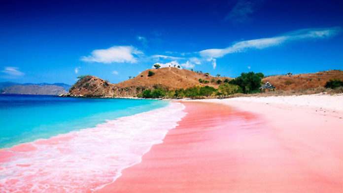 pink-beach-komodo-indonesia