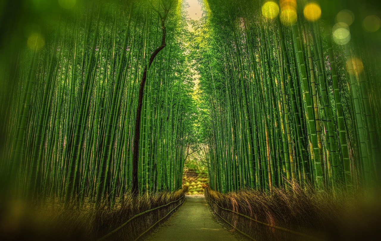 Arashiyama-Bamboo-Grove-Kyoto