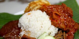 nasi-lemak-malaysia-food-xelexi