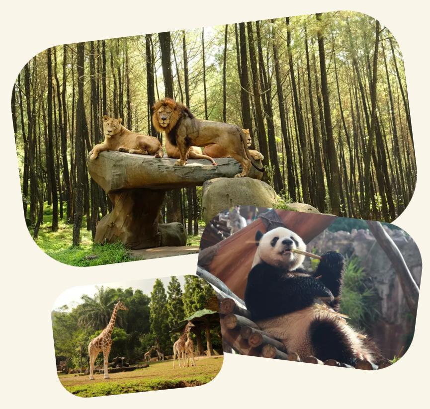 Taman Safari Indonesia