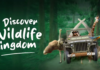 taman-safari-indonesia-wildlife-kingdom