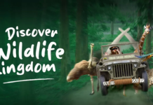 Taman Safari Indonesia Bogor: The Ultimate Wildlife Adventure in West Java taman-safari-indonesia-wildlife-kingdom