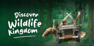 taman-safari-indonesia-wildlife-kingdom
