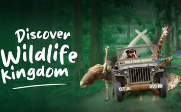 Taman Safari Indonesia Bogor: The Ultimate Wildlife Adventure in West Java taman-safari-indonesia-wildlife-kingdom