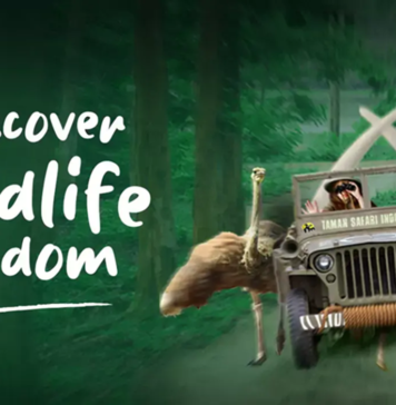 taman-safari-indonesia-wildlife-kingdom