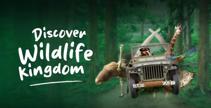 taman-safari-indonesia-wildlife-kingdom taman-safari-indonesia-wildlife-kingdom
